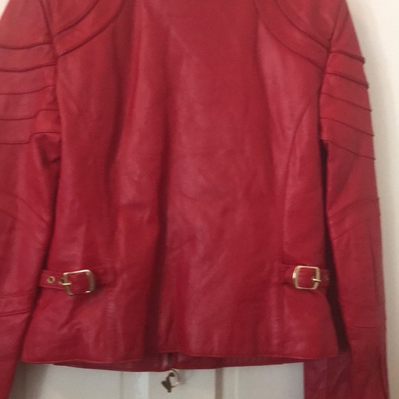 Jacket - Picture 15 of 16